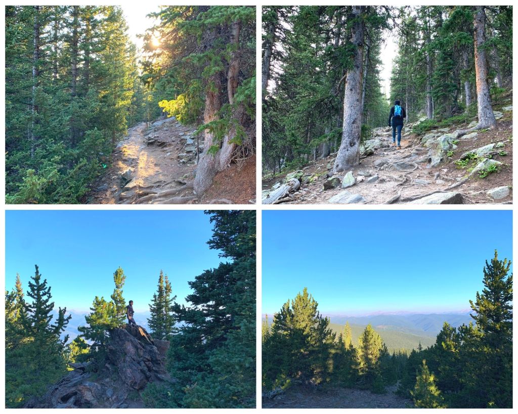 Arapaho National Forest - Idaho Springs, Colorado - Chief Mountain Trail- photo collage of trail below tree line